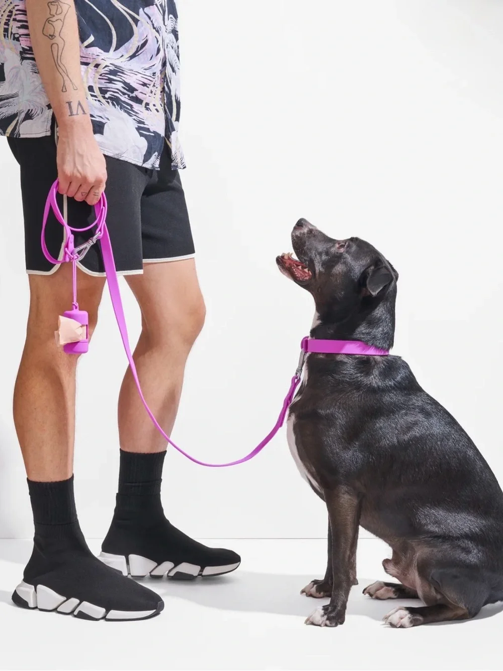 Wild One Dog Collar - M (12-15